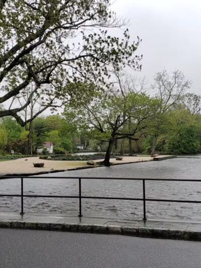 T. Bayles Minuse Mill Pond Park - Stony Brook, NY