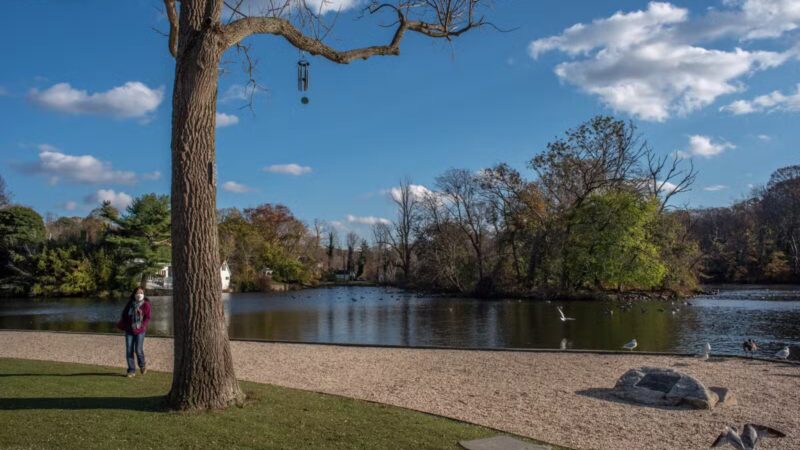 T. Bayles Minuse Mill Pond Park - Stony Brook, NY