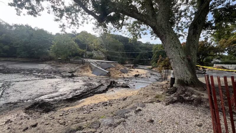 T. Bayles Minuse Mill Pond Park - Stony Brook, NY