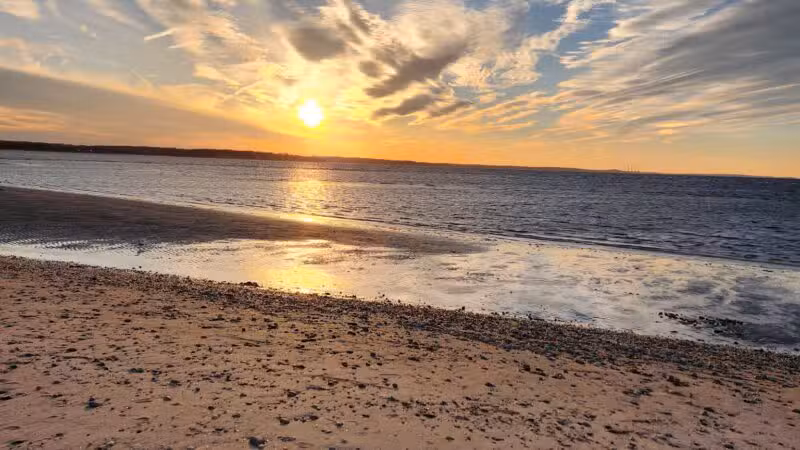 West Meadow Wetlands Reserve - Stony Brook, NY