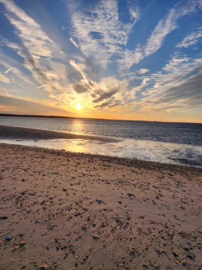 West Meadow Wetlands Reserve - Stony Brook, NY