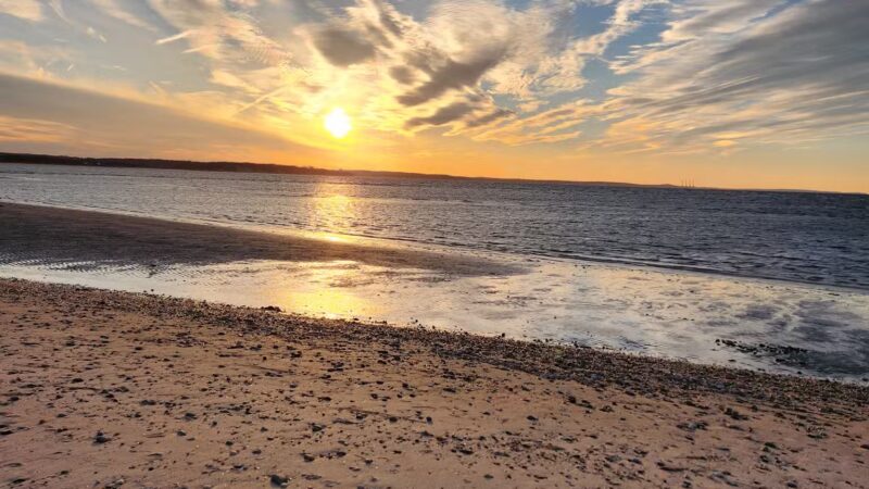 West Meadow Wetlands Reserve - Stony Brook, NY