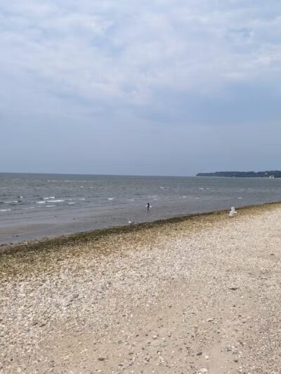West Meadow Wetlands Reserve - Stony Brook, NY