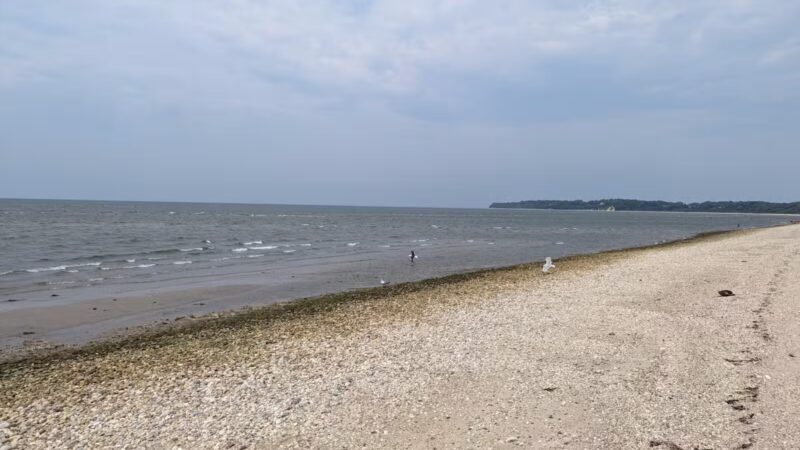 West Meadow Wetlands Reserve - Stony Brook, NY