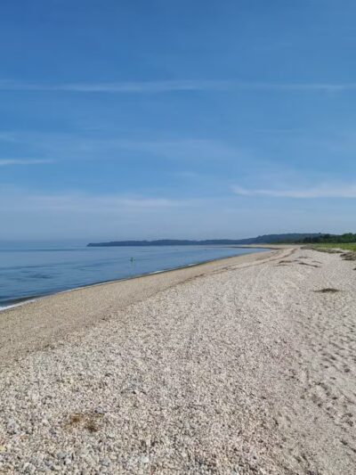 West Meadow Wetlands Reserve - Stony Brook, NY