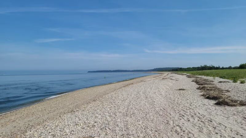 West Meadow Wetlands Reserve - Stony Brook, NY