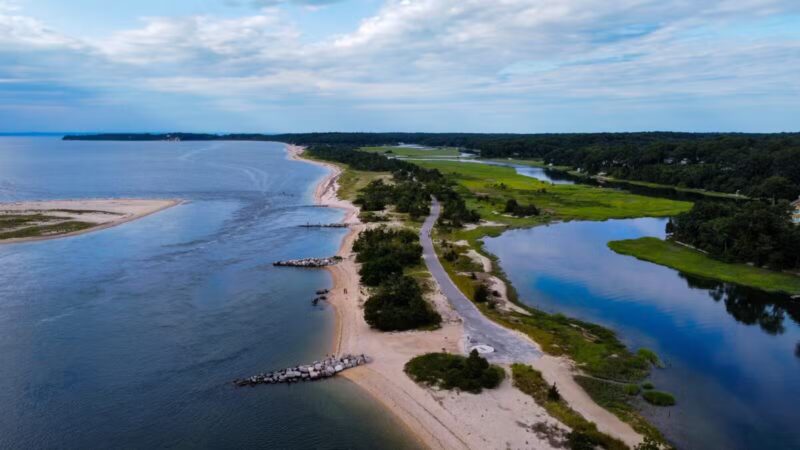 West Meadow Wetlands Reserve - Stony Brook, NY