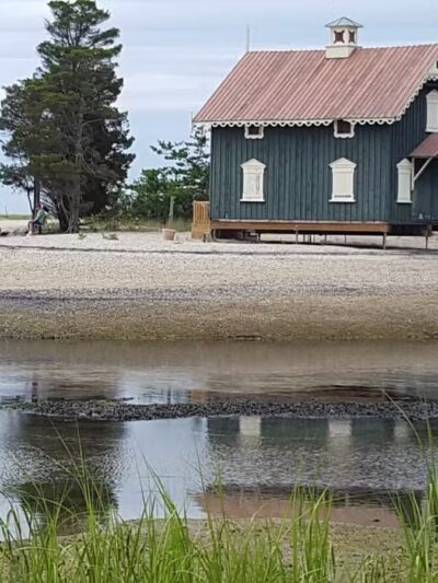 West Meadow Wetlands Reserve - Stony Brook, NY