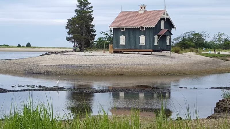 West Meadow Wetlands Reserve - Stony Brook, NY