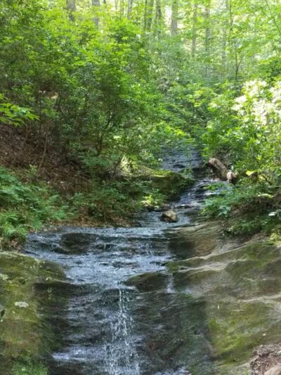 Fairy Stone State Park - Stuart, VA