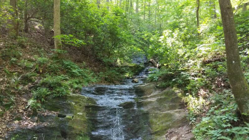 Fairy Stone State Park - Stuart, VA