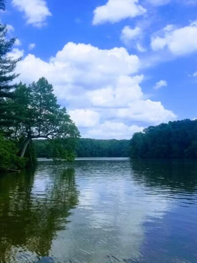 Fairy Stone State Park - Stuart, VA