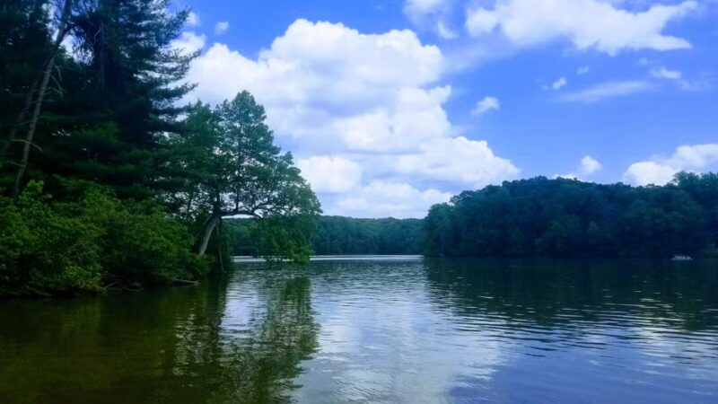 Fairy Stone State Park - Stuart, VA