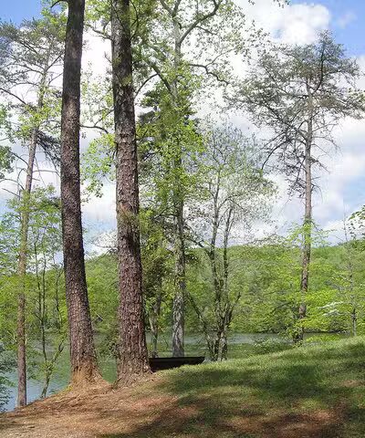 Fairy Stone State Park - Stuart, VA