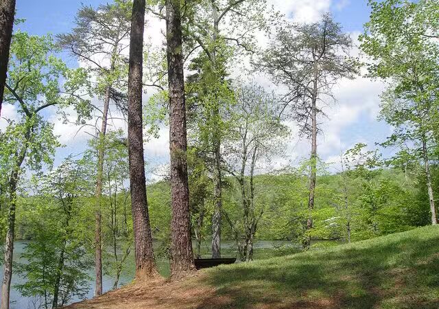 Fairy Stone State Park - Stuart, VA