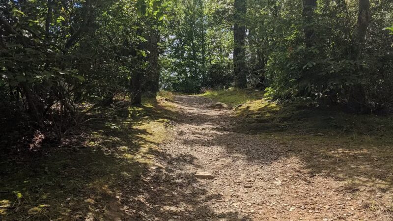 Fred Clifton Park - Stuart, VA