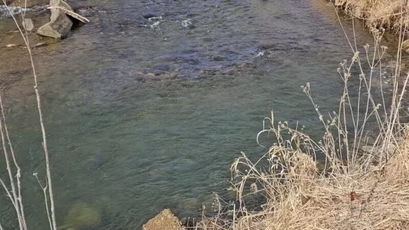 Mayo River Rail Trail - Stuart, VA