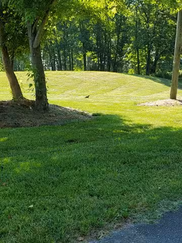 Mayo River Rail Trail - Stuart, VA