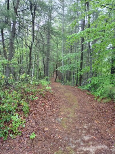 Stuart's Knob Trail Head - Stuart, VA