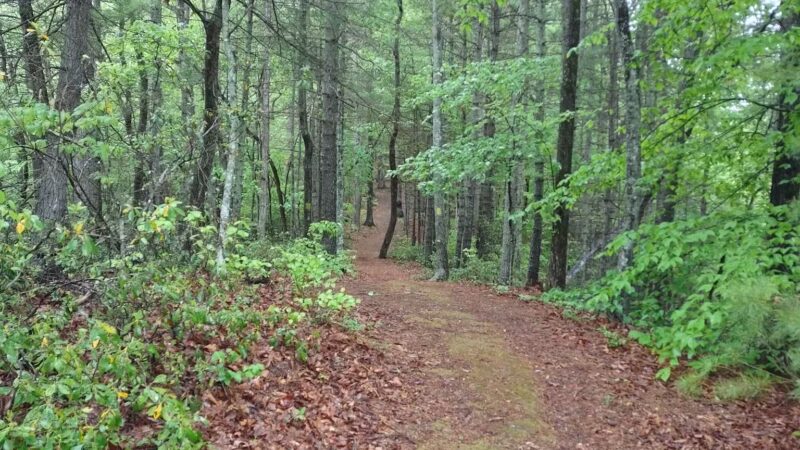 Stuart's Knob Trail Head - Stuart, VA