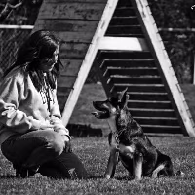 Sublime K9 Dog Training - Long Island Dog Training - ,