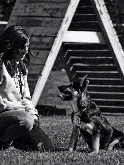 Sublime K9 Dog Training - Long Island Dog Training - ,