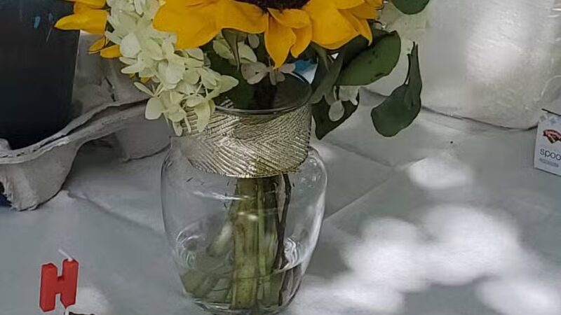 Tilton Park - Sunapee, NH