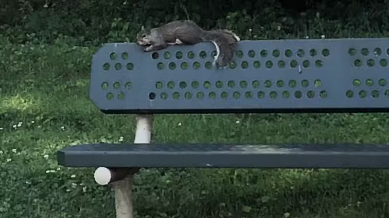 Lexington Run Park - Sykesville, MD