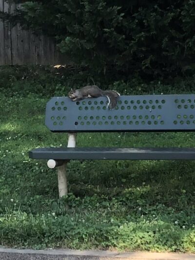 Lexington Run Park - Sykesville, MD