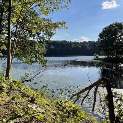 Trailhead at Piney Run Lake - Sykesville, MD