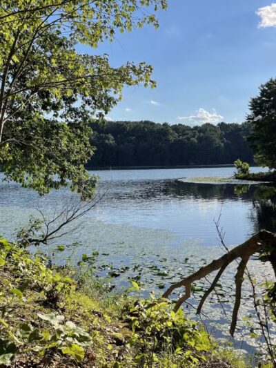 Trailhead at Piney Run Lake - Sykesville, MD