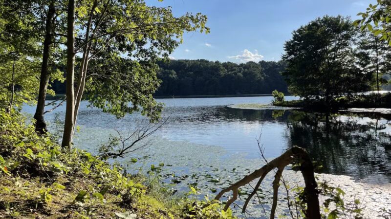 Trailhead at Piney Run Lake - Sykesville, MD
