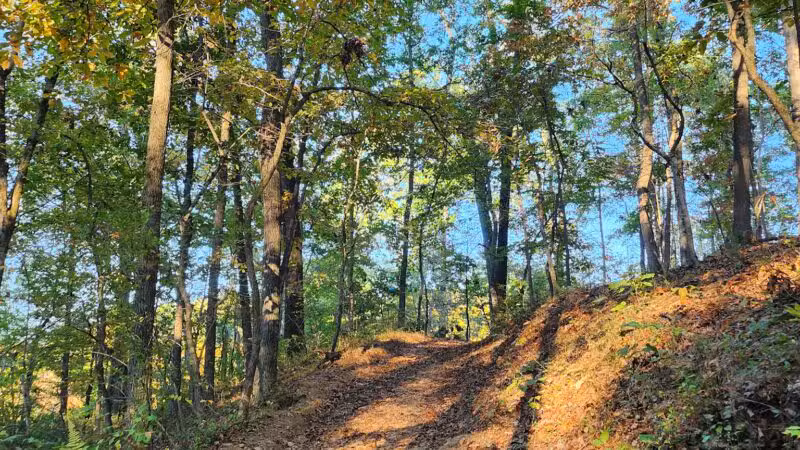 Trailhead at Piney Run Lake - Sykesville, MD