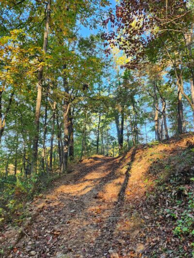 Trailhead at Piney Run Lake - Sykesville, MD