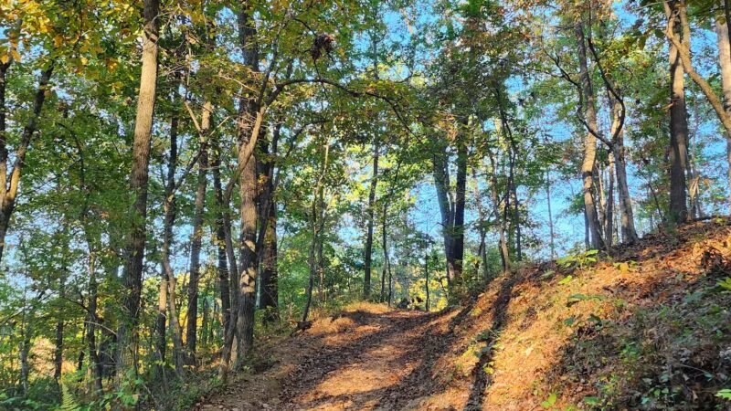 Trailhead at Piney Run Lake - Sykesville, MD