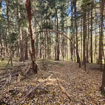 Trailhead at Piney Run Lake - Sykesville, MD