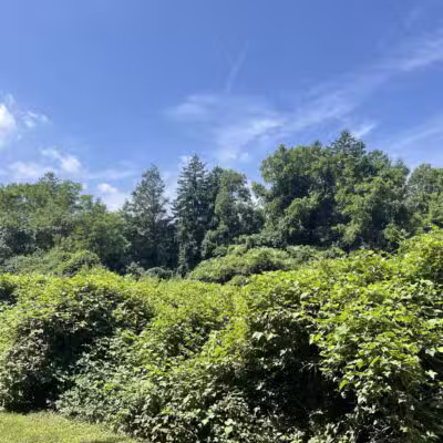 Bill Paterson Nature Center - Syosset, NY