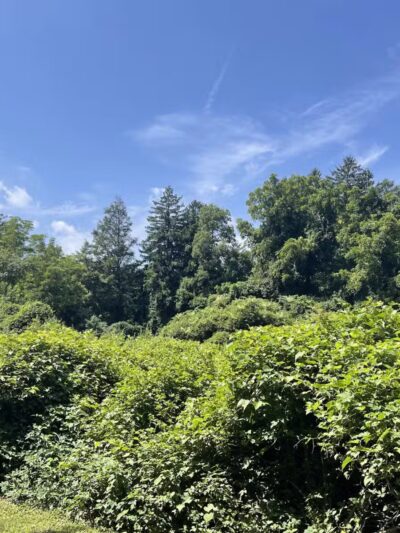 Bill Paterson Nature Center - Syosset, NY