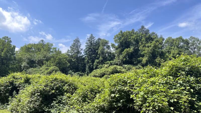 Bill Paterson Nature Center - Syosset, NY