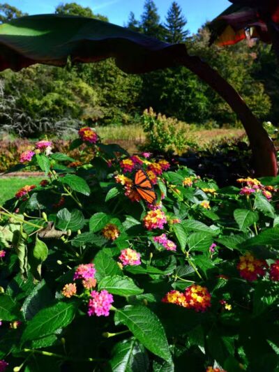 Bill Paterson Nature Center - Syosset, NY