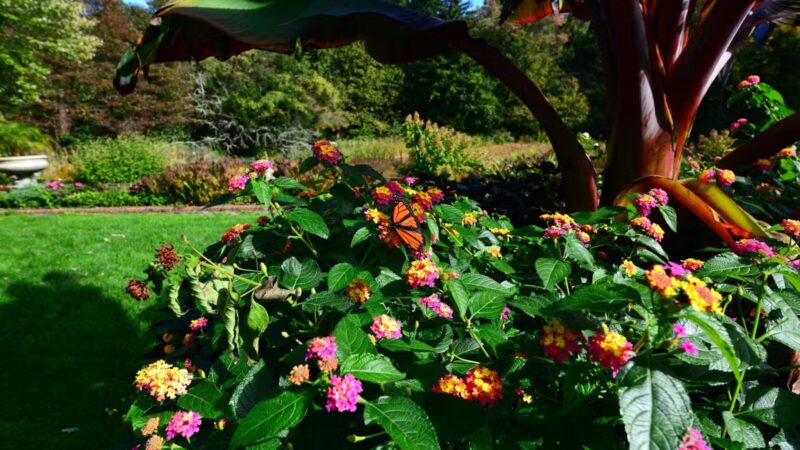 Bill Paterson Nature Center - Syosset, NY