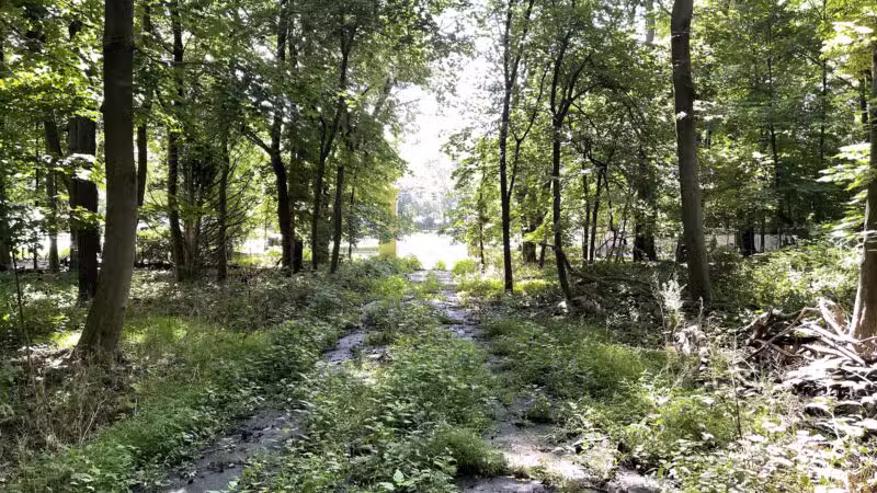 Bill Paterson Nature Center - Syosset, NY