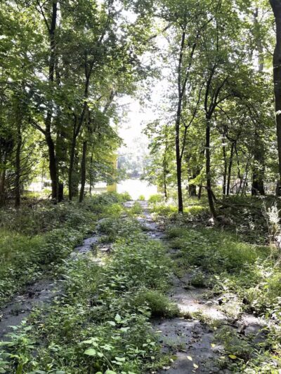 Bill Paterson Nature Center - Syosset, NY