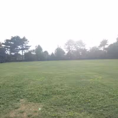 Dorothy Street Park - Syosset, NY