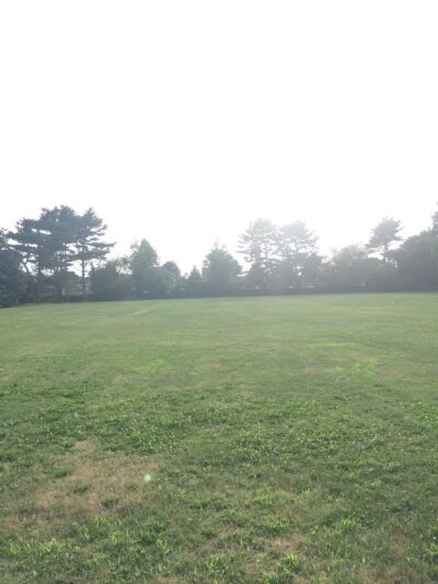 Dorothy Street Park - Syosset, NY