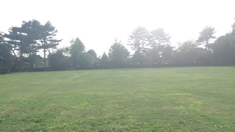 Dorothy Street Park - Syosset, NY