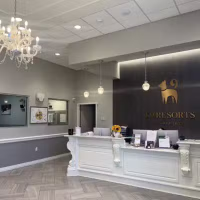 K9 Resorts Luxury Pet Hotel Syosset - Syosset, NY