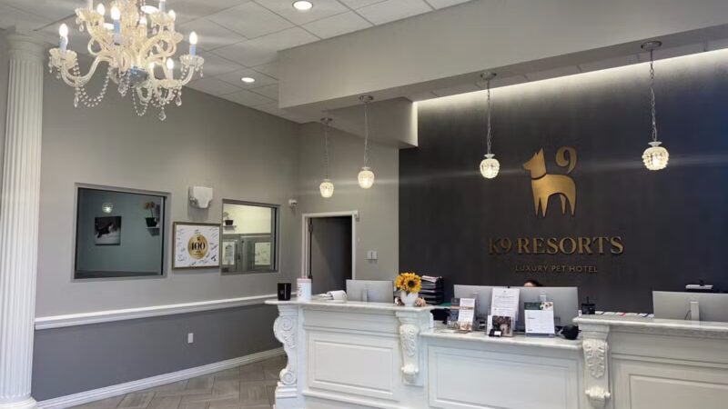 K9 Resorts Luxury Pet Hotel Syosset - Syosset, NY