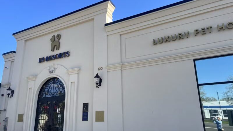 K9 Resorts Luxury Pet Hotel Syosset - Syosset, NY
