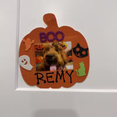 K9 Resorts Luxury Pet Hotel Syosset - Syosset, NY